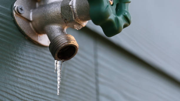 Best Leak Detection Services  in Belmont, PA